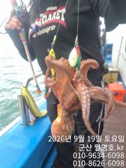 [군산] 19일 월명호 쭈꾸미 오전반 실시간 문어다 문어 사진
