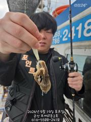 19일,군산쭈꾸미~ 잘 나오고 있어요~문어,갑이는 덤~실시간~군산낚시프라자 포세이돈 2호 사진