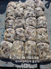 군산 대호피싱 쭈꾸미 대박치고 입항 합니다 사진