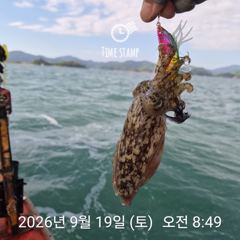 [사천] 유신호 갑오징어 첫 출조! 사진