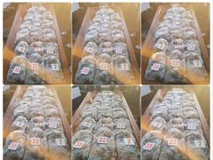<발키리호> 쭈꾸미 오후 마무리 조황(19일)-즐낚하고 입항했습니다~! 사진