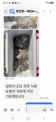 [여수,광양] 화요일22일부터 쭈꾸미 타작가실분~~~ 사진