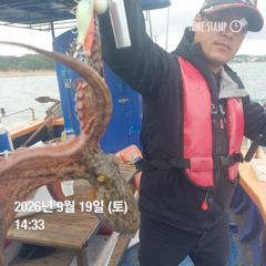 포항 종방) 사진