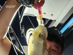 무늬팁런 바람 파도속 몬스터와 마릿수 사진