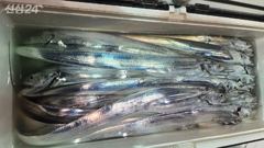 녹동영진투어랜드 ㆍ줄조ㆍ조항 사진