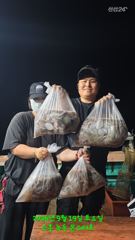 녹동몬스터호 19일 야간문어 대박 조황. 시간 순삭~~ 사진