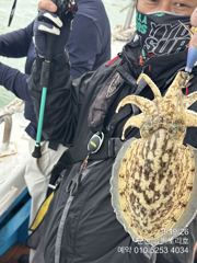 [군산] 0/19 쭈조황임니다 사진