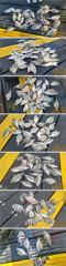 통영서하호 20 일 철수 전원 두자리 이상 마무리 했습니다 사진