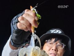 무늬팁런 오늘도 몬스터와 마릿수가 사진