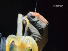 무늬팁런 오늘도 몬스터와 마릿수가 사진