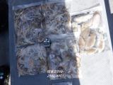 26년9월20일 조황 사진