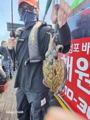 갑오징어출조 사진