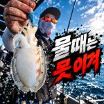 [팀바이트호] 9월20일 갑오징어 낚시 사진