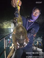 [여수,광양] 20일 금오열도 무늬오징어 조황입니다 사진