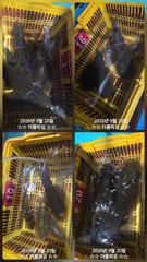 진해더블피싱 욕지권 무늬팁런 19토욜 철수조황 사진