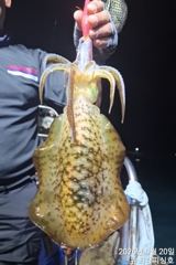 [통영] 왕무시들외 골고루 촵촵촵!!! 오후6시 출동합니다!!! 사진