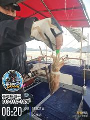 [사천] 오늘도 갑오징어 열심히 달립니다! 내일 정상 출조합니다 사진