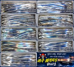 (해적피싱-하나호) 9월 21일 입항 조황입니다~~^^ 사진