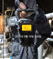 [진해] 팁런무늬!!!24일부터 예약가능 사진