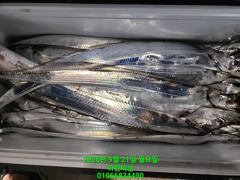 [여수 마린피싱] 9월20일 국민갈치!!!! 국민고등어!!! 한국인의 밥상 다 잡았습니다. 010-6683-4490 사진