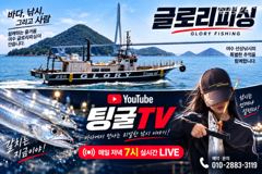 글로리호 내만갈치 조황입니다! 사진