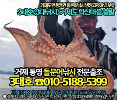 [거제] (무늬오징어)오늘 정상출항 가조도 팁런 마릿수 공략~3대호 사진