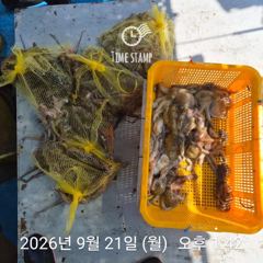 암초 포인트 문어 낚시 사진
