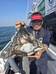 [격포힐링호] 9/21 갑오징어 조황 사진