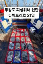 쭈갑조황 글만 보기 사진