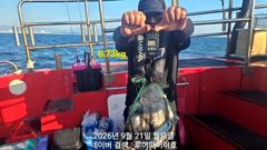 루어파이터호-9/21 월 [2물] 쭈꾸미/갑오징어 조항 입니다. 사진