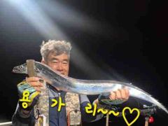 [마산] 내만갈치 맞나?!연이은 호조황 3지들이 퍽퍽~사이즈 좋앙~ 사진