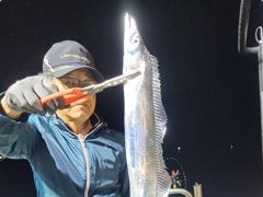 6시간전 [고성] 리드호 9월21일 감성돔 조황입니다 사진