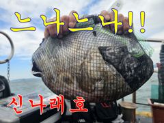 신나래호) 가을 쭈꾸미 오늘도 하루종일 잘나오내요 사진