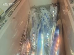 수요일 황제낚시 출항확정! 사진