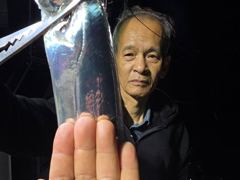 내만 갈치 3지,3.5지급들로 반피딩 맞고~~(오늘 1자리 가능) 사진
