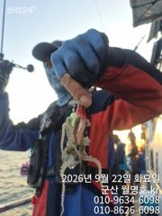 22일, 군산쭈꾸미, 나오고 있어요~오전반 실시간~~군산낚시프라자 월명호 사진
