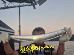 [마산] 내만갈치 사이즈 마리수 굿굿!!! 낚낚GOGO~ 사진