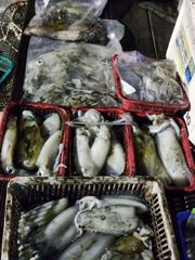 야간(무늬오징어) 팁런 바글바글 줄줄이 손맛~대동낚시(23일 예약) 사진