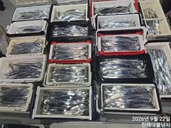 으악~22일새벽내만칼치 용가리3,5지4,5지까지 퍼담고타작초대박~오늘예약가능 사진