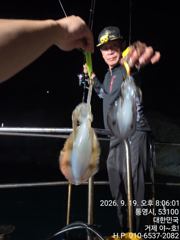 [거제] (감성돔) 떼고기 50여수~야간 무늬 팁런 끝내줘요~야호(23일… 사진