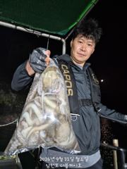 [먹물조황]삼천포문어조황!주간주꾸미,주,야간문어매일출조! 사진