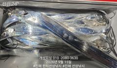 준내만 4지급 텐빈 은빛 갈치 대박 쿨러 가득 조황!! 추석 당일 예약가능 사진