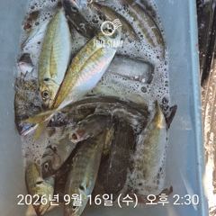 1   [거제] 라이프레져 감성돔 문어 전갱이 추석연휴 정상출항 1 사진