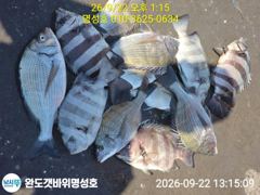 명성호 갯바위조황 사진