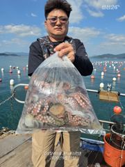 [고성] 무늬 팀런 호조항 이벤트 DAE 8일 사진