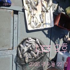 [고성] 22일 감성돔 흘림 조황입니다. 사진