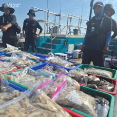9월 22일 신진도 어해루호 쭈갑조황 사진