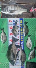 [바다마을호] 4짜외 감성돔 조황(9/21) 사진