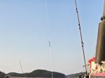 오스타호 26.09.22 쭈갑 조황^^ 사진