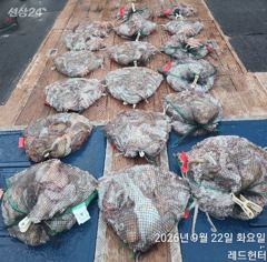 여수레드헌터피싱 9월22일(화) 돌문어 바람불어도 HOT, 굿굿굿 조황입니다 사진